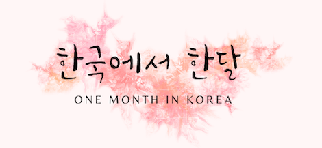 One Month in Korea