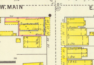 1895 sewing machine businesses