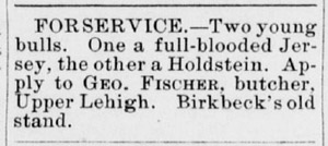 George Fisher, Upper Lehigh, selling 2 bulls in 1890