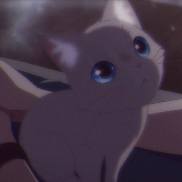 Taro