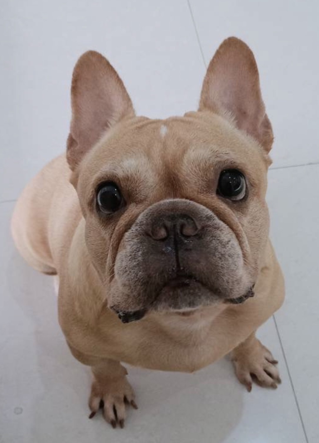 Cute Mali