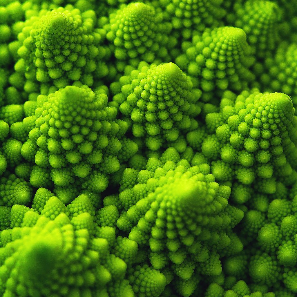 Romanesco broccoli