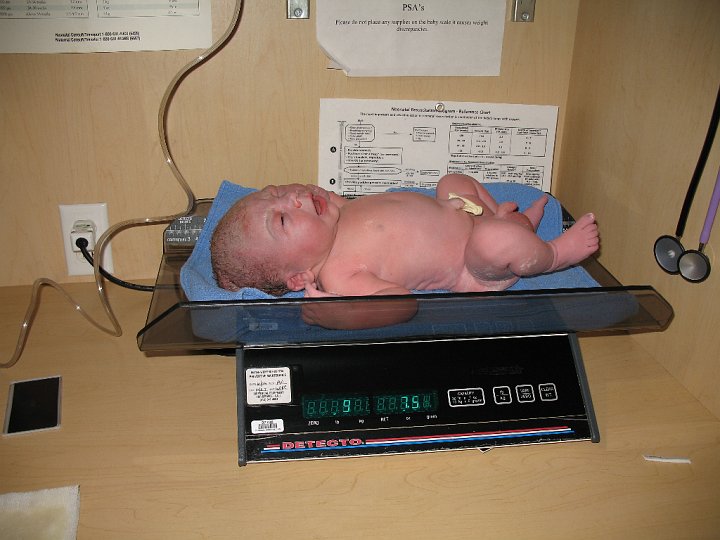 IMG_0866.JPG - The weigh-in:  9 lbs. 6 oz.