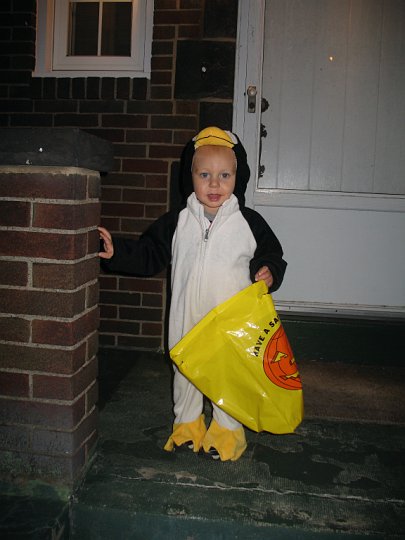 IMG_3806.JPG - The Penguin on the prowl.