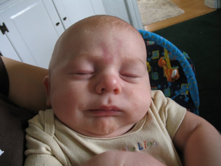 IMG_1396.JPG - Alexander has some terrific facial expressions.  Then there is this one.