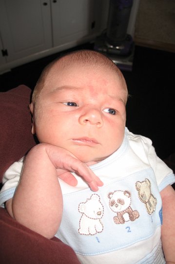 IMG_1027.JPG - Yep, he's a thinker.