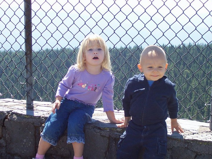 100_8700.jpg - On top of Larch Mountain.