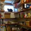 new pantry