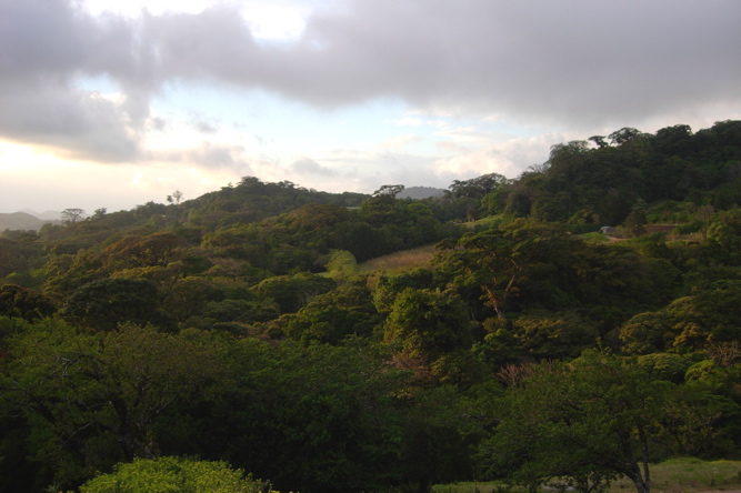 Monteverde17.JPG