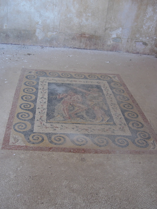 xDel10.JPG