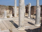 Delos  5