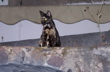 Santorini5.JPG