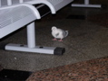 DSCN0171.JPG