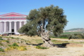 Agrigento07.JPG