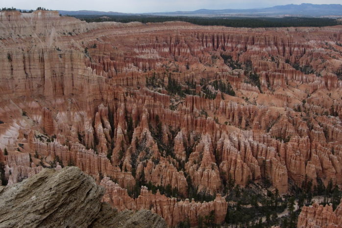 DSCN3185.JPG