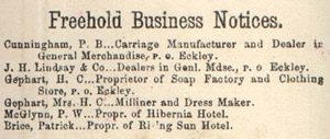 1873 Atlas list of Freeland businesses