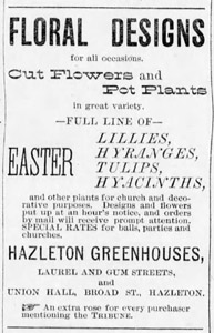 Hazleton Greenhouses, 1893 ad