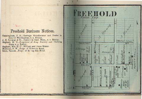 1873 Freehold map and businesses